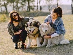 7 Kualitas Luhur Orang yang Tak Bisa Menahan Diri Menyapa Anjing di Jalan