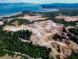 Pemantauan Tambang di Pulau Citlim: Perusahaan Harus Rehabilitasi Lahan Pemantauan Tambang di Pulau Citlim: Perusahaan Harus Rehabilitasi Lahan