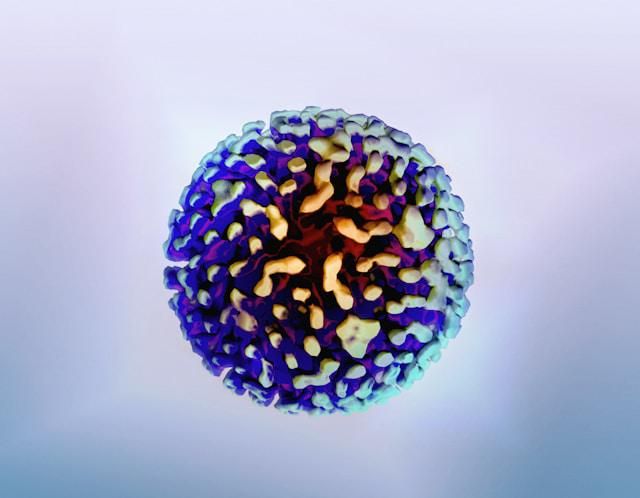 Apakah Hepatitis Menular Melalui Sentuhan? Ini Cara Penyebarannya