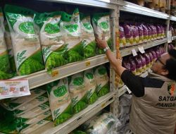 Kasta Beras Premium dan Medium Dihapus, Konsumen Khawatir Kualitas Menurun