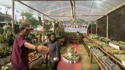 Penggemar Tanaman, Kumpul! 167 Stand Meriahkan Flona Jakarta 2025, Termasuk Tanaman Lama