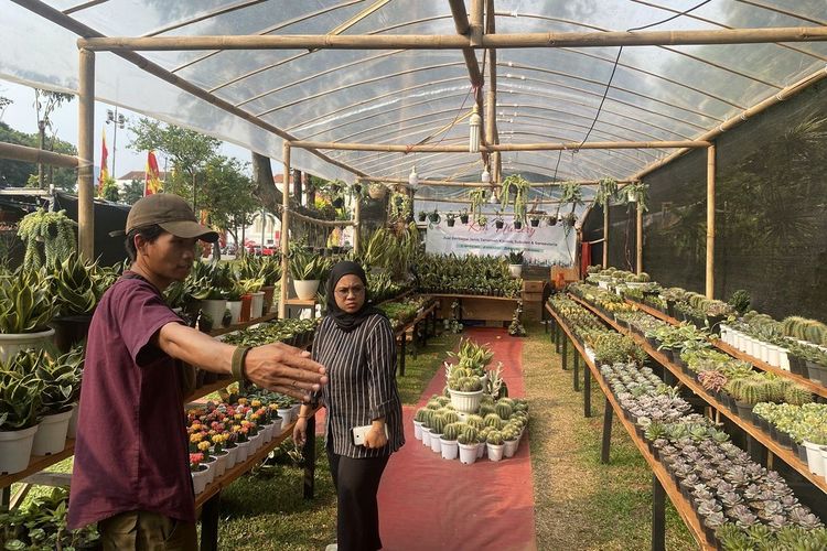 Penggemar Tanaman, Kumpul! 167 Stand Meriahkan Flona Jakarta 2025, Termasuk Tanaman Lama