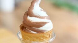 Rahasia Es Krim Lembut ala Devina: Resep Vanilla dan Cokelat Ovomaltine Sederhana, Gagal? Tidak!