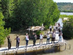 Rehabilitasi Mangrove di Manggarai Barat: Menghentikan Abrasi dan Memulihkan Ekosistem Pesisir