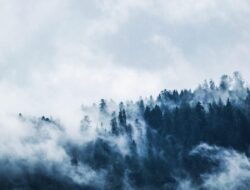 5 Perbedaan Kabut dan Polusi Langit, Warna Berbeda
