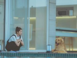 5 Tips Liburan Bareng Anjing ala Kang Yeo Reum