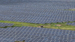 Permintaan Energi Menurun, India Batasi Produksi Listrik Hijau