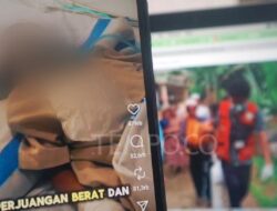 KPAI: Bayi Meninggal karena Cacingan di Sukabumi, Tanda Keterlambatan Negara KPAI: Bayi Meninggal karena Cacingan di Sukabumi, Tanda Keterlambatan Negara
