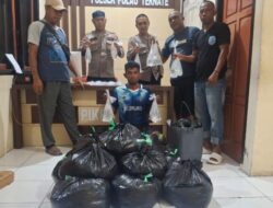 Polsek Pulau Ternate Gagalkan 500 Kantong Cap Tikus Polsek Pulau Ternate Gagalkan 500 Kantong Cap Tikus