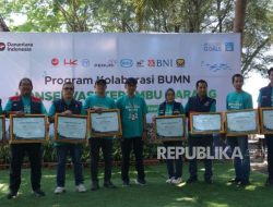 Dukung Ekosistem Pantai, 8 BUMN Tanam Ratusan Bibit Terumbu Karang di Banyuwangi Dukung Ekosistem Pantai, 8 BUMN Tanam Ratusan Bibit Terumbu Karang di Banyuwangi