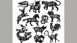 Ramalan Shio Minggu 10 Agustus 2025: Naga, Ular, Kuda, Kambing