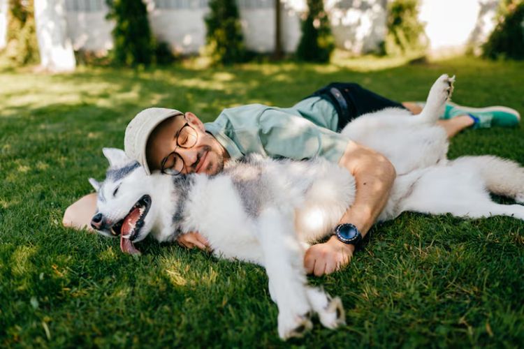 Orang yang Lebih Suka Anjing Punya 7 Ciri Kepribadian Ini, Menurut Psikologi