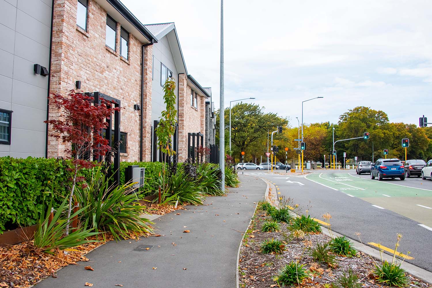Budget-friendly options for Nepali students in Christchurch