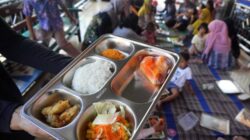 Rektor UGM Sebut Keputusan Pemerintah Buka Impor Food Tray untuk MBG Konyol: Kok Tega