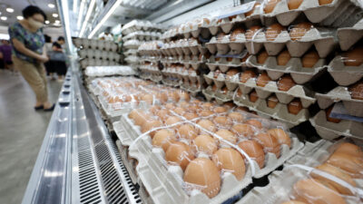 Extreme Weather Sparks Food Price Surge in South Korea