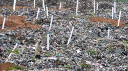 PNS Kota Bogor Tewas Tertimbun Longsoran Sampah Galuga