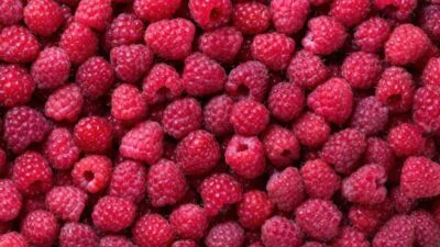 Morocco Dominates Mena Berry Imports with 97% Supply in 2024