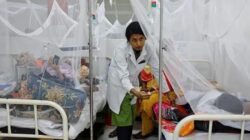 Dengue Surge in Rawalpindi Sparks Health Warnings