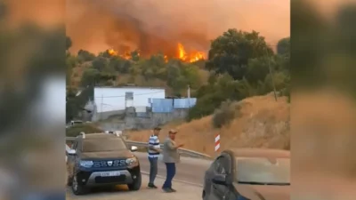 Firefighters Injured in Chefchaouen Forest Fire Battle