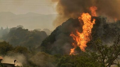At Least Three Killed as European Wildfires Force Mass Evacuations