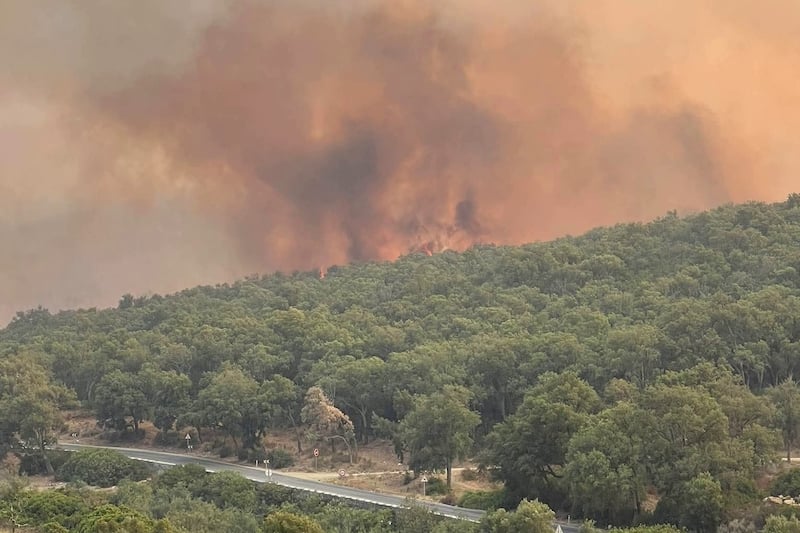 Chefchaouen wildfire devours 500 hectares of forest