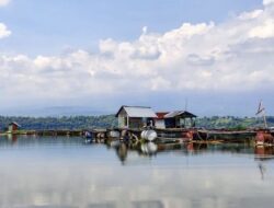 Ranu Grati, Pesona Danau Purba di Tengger