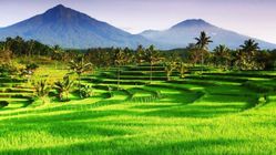 Pemekaran Desa: Kunci Percepatan Pembangunan dan Pelayanan Publik