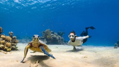 6 Petualangan Tak Terlupakan di Laut Merah, Jeddah yang Mewah