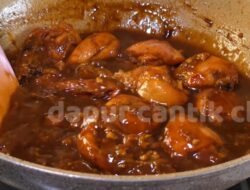 Resep Ayam Kecap Nyemek Praktis untuk Bekal Anak Favorit