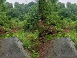 Gercep, BPBD Tidore Tangani Banjir di Toburo Oba Utara Gercep, BPBD Tidore Tangani Banjir di Toburo Oba Utara