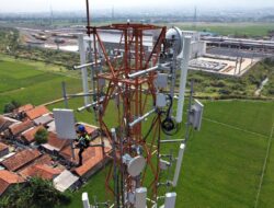 Lelang Frekuensi 1,4 GHz Tak Terpengaruh Harga Dasar