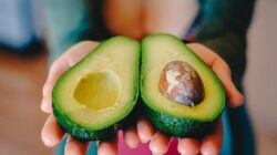9 Fakta Menarik Alpukat yang Jarang Diketahui