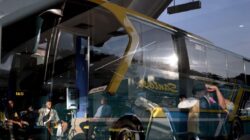 Jadwal Bus AKAP Bali ke Jawa Senin (25/8), Cek Harga Tiket!