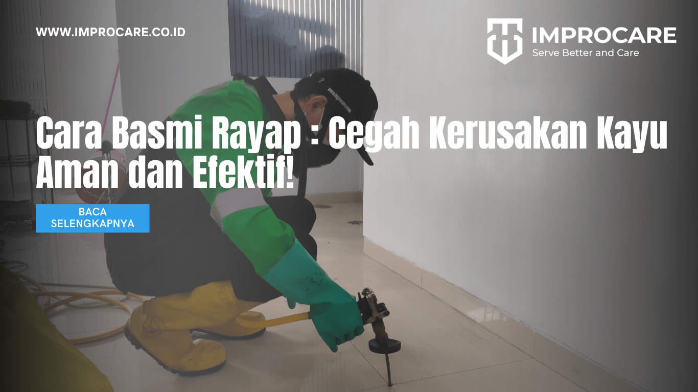 Cegah Kerusakan Pintu Kayu! Cara Efektif Lawan Rayap
