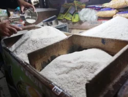 Pemerintah Naikkan Harga Beras Medium Rp 2.000 Per Kg