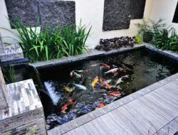 Model Kolam Ikan Koi Minimalis yang Elegan dan Menarik Model Kolam Ikan Koi Minimalis yang Elegan dan Menarik