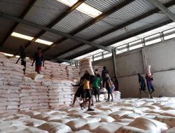 Ketersediaan Pupuk Musim Kemarau di Karawang, Pupuk Kujang Siapkan 5 Ribu Ton