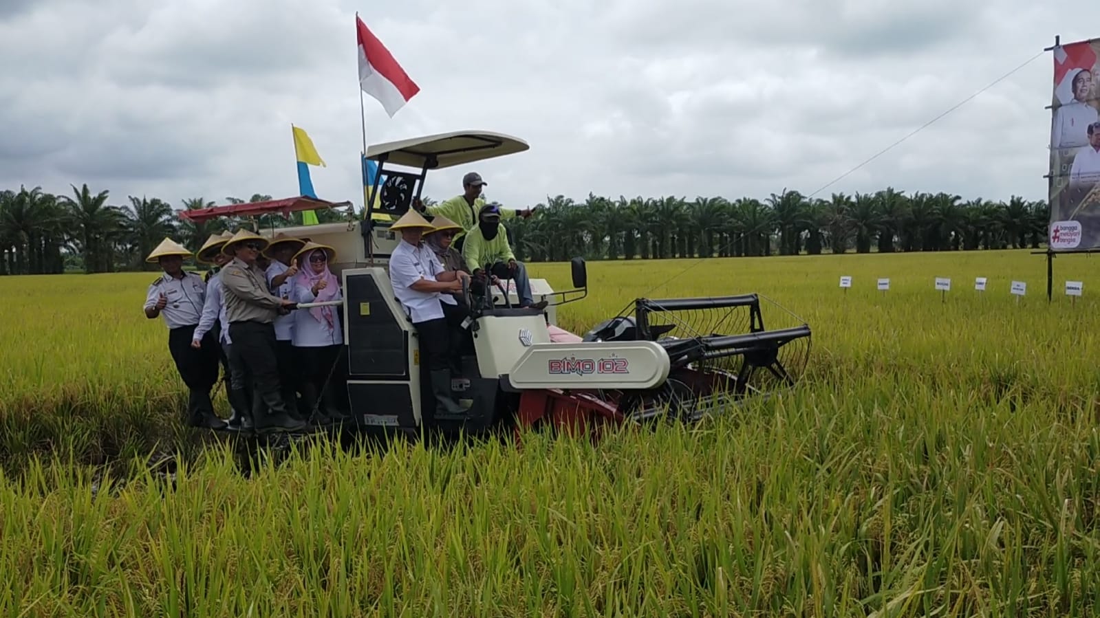 Panen Raya Tidak Merata, Harga Gabah Tetap Stabil