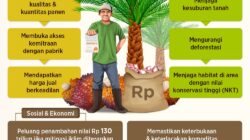 Kabupaten Renah Mendaluh: Usulan DOB Jambi untuk Pertanian, Perkebunan, dan Ekowisata Sungai