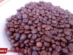 Fakta Mengejutkan di Balik Sekuping Kopi