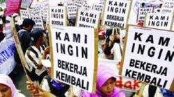 PHK Besar! TikTok Ganti Moderator dengan AI, Netizen Kaget