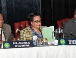 SADC Tourism Alliance Names New Steering Committee