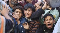 Gaza: Bayi Tewas Kelaparan, Warga Gugur Antre Bantuan