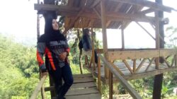 Menjelajah Keajaiban Bukit Kembar Puncak Pinus, Surga Tersembunyi Karawang
