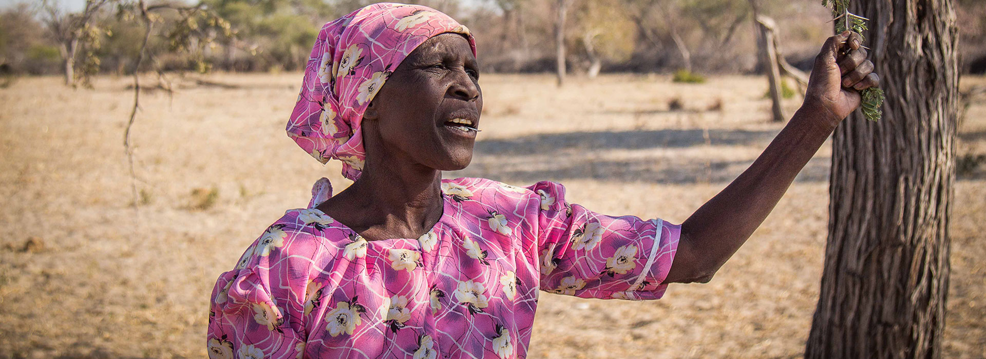 Elephants and Communities Coexist in South Africa