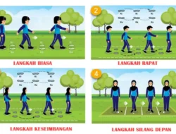 Langkah Merancang Pembelajaran UbD dengan Kunci Jawaban