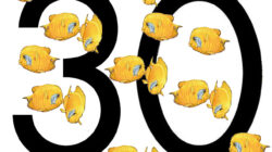 30 Soal SKD Kedinasan yang Menentukan Kelulusan!
