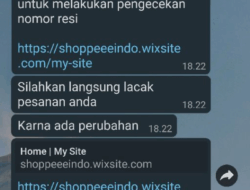 Modus Penipuan Baru: Toko Online Palsu dan Petugas Bea Cukai Palsu Menipu di Instagram