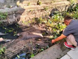 Pria Tanpa KTP Ditemukan Tewas di Pantai Cimedang
