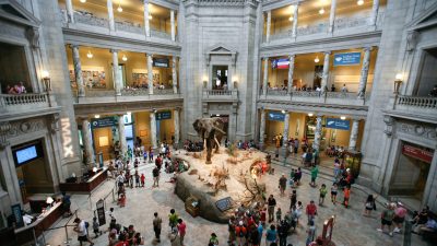 Museum Yadnya: Pintu Masuk Sejarah Bali yang Wajib Dikunjungi